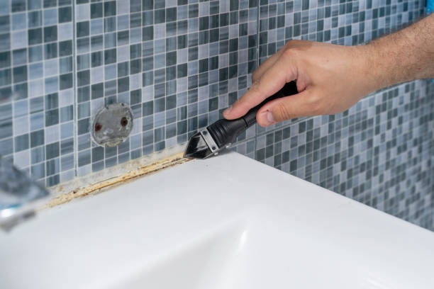 Best Home Mold Removal  in Galena, KS