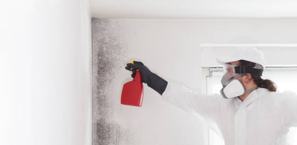 Best Mold Cleaning Services  in Galena, KS